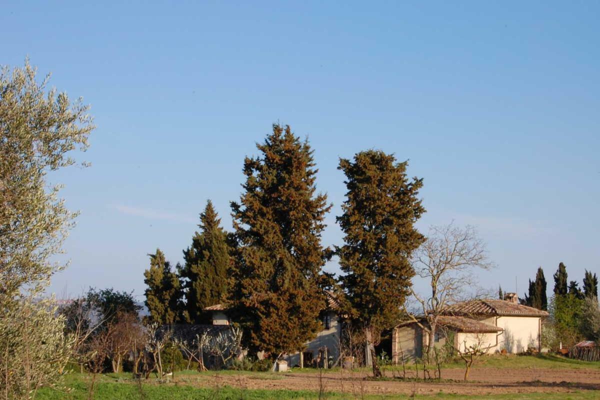 Podere San Guglielmo Guest House Sarteano Eksteriør bilde